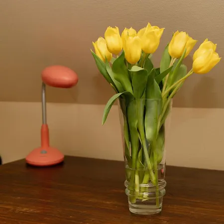 De Pastorij Левен